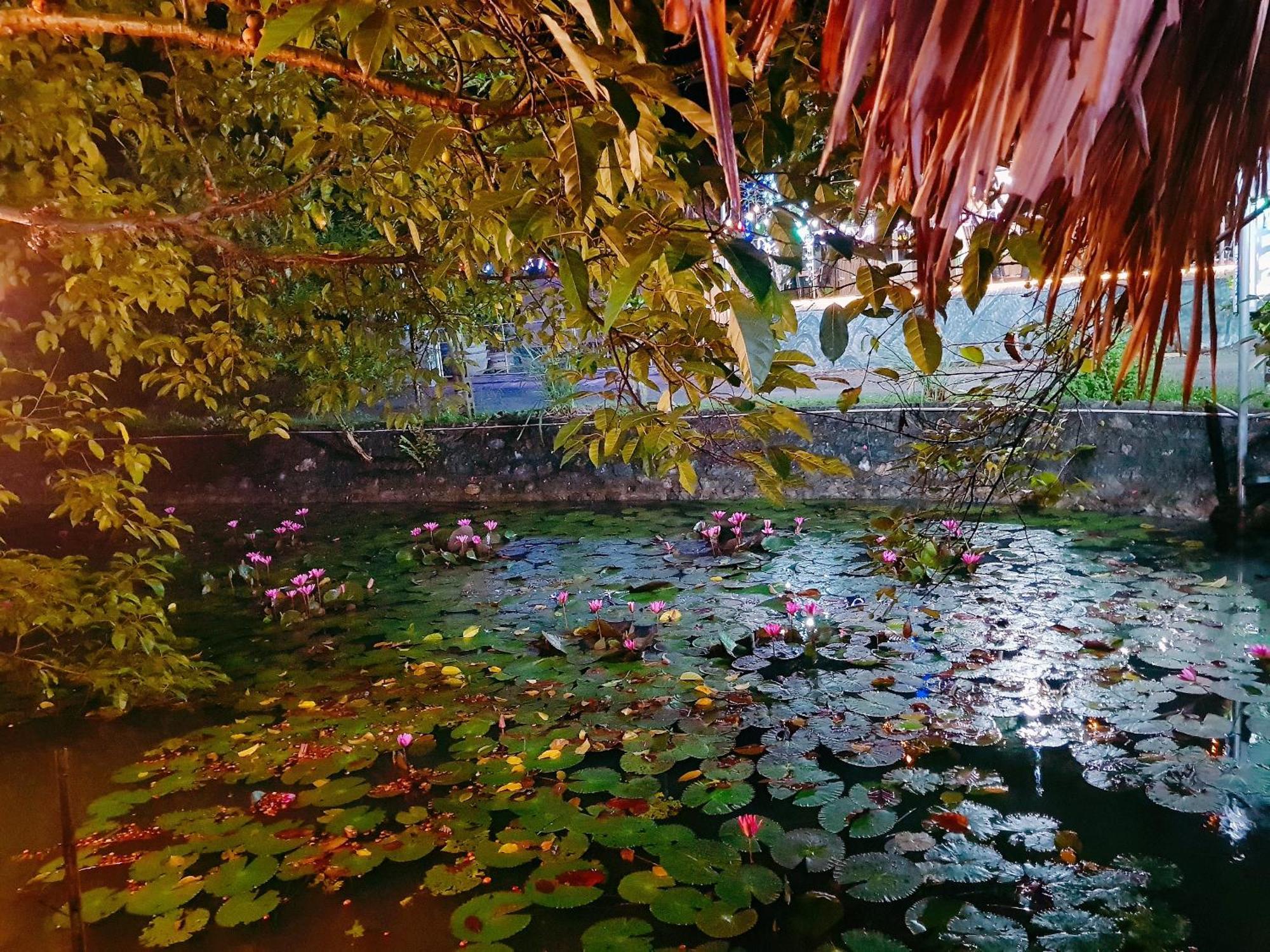 Quoc Khanh Bamboo Homestay Ninh Binh Bagian luar foto