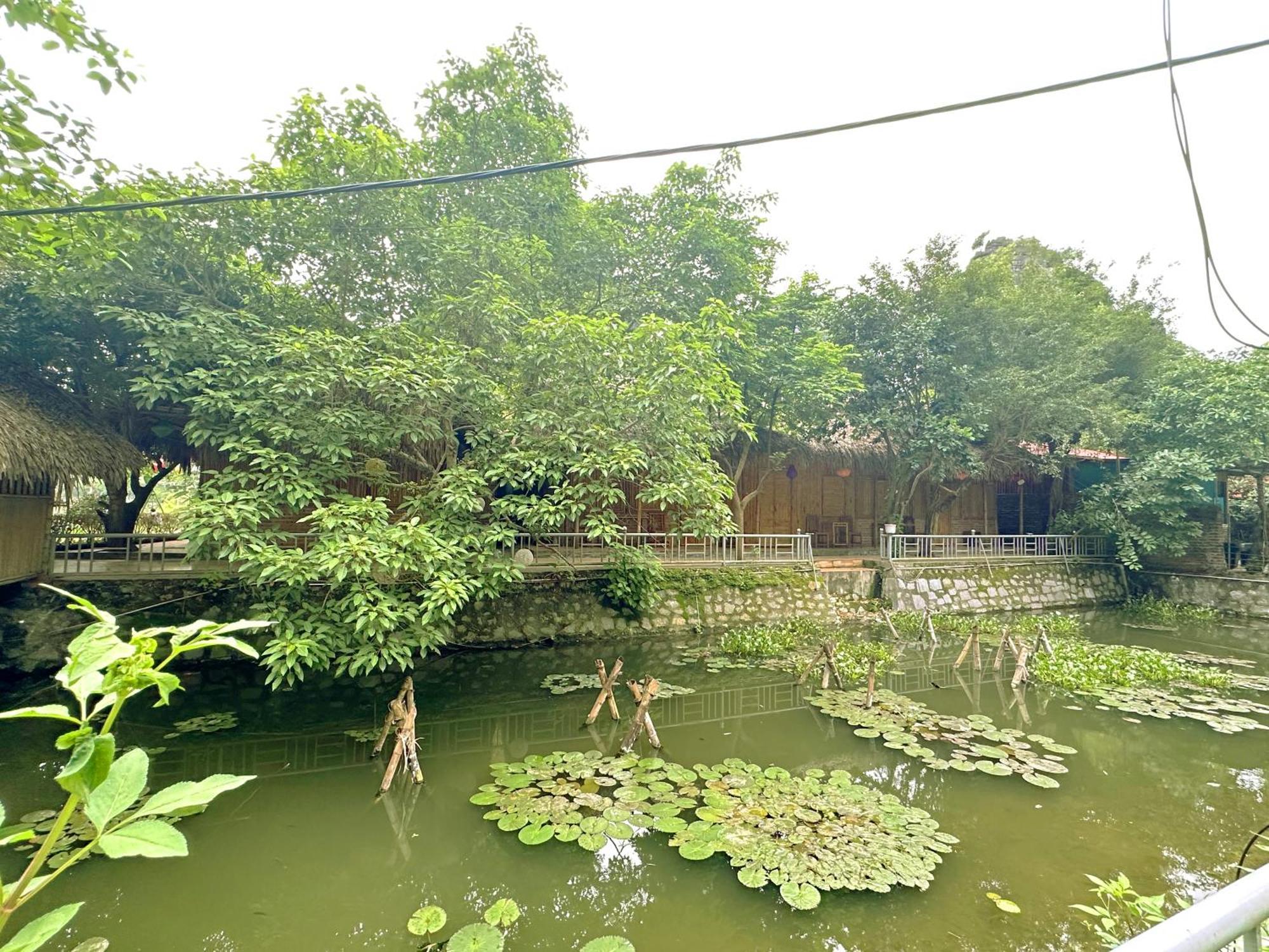 Quoc Khanh Bamboo Homestay Ninh Binh Bagian luar foto