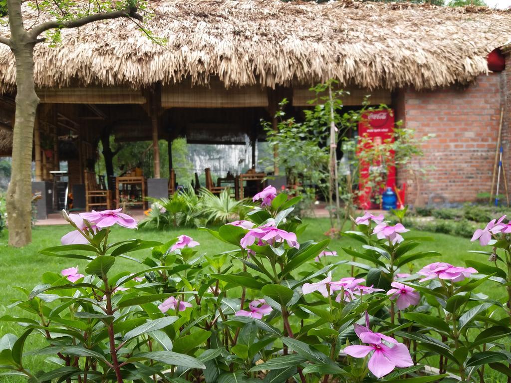 Quoc Khanh Bamboo Homestay Ninh Binh Bagian luar foto